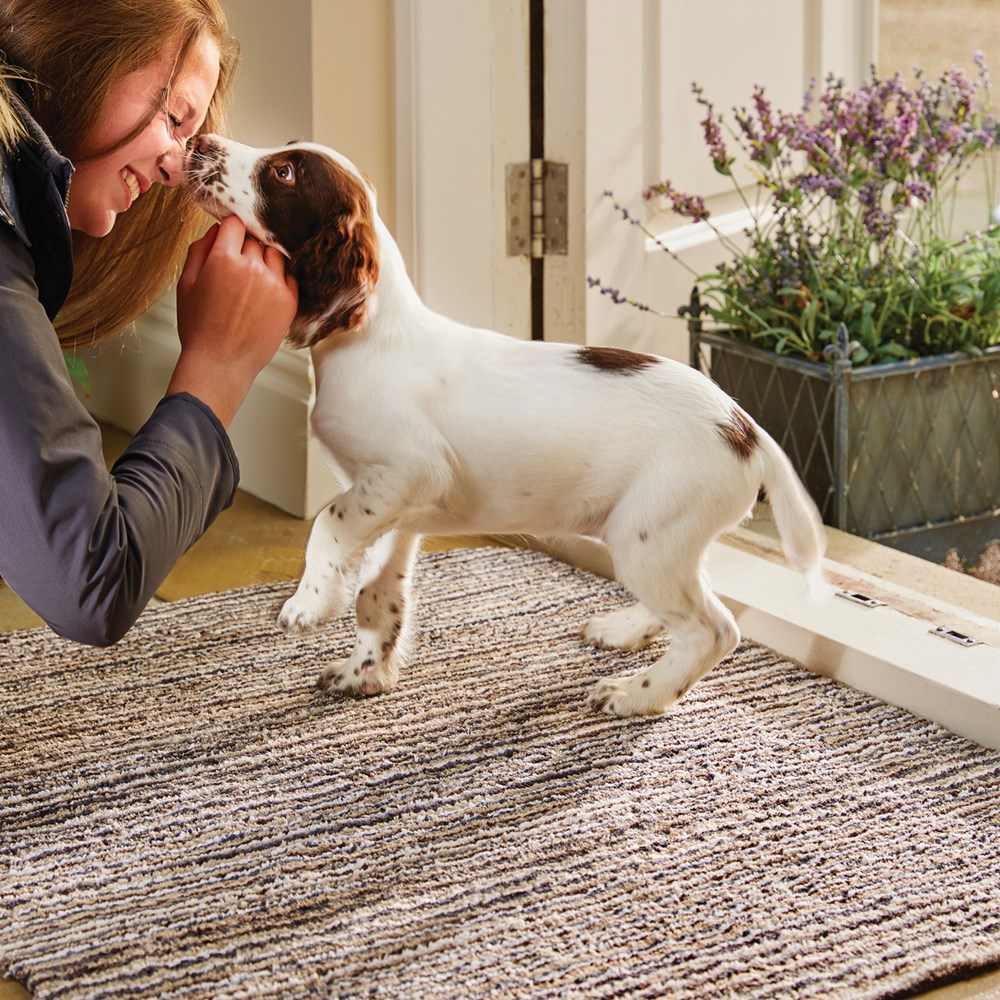 Hug Rug Select Doormats in New England Stripe